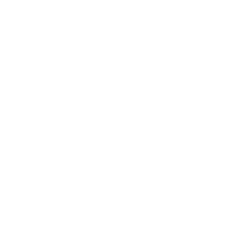 فروشگاه آتش گل